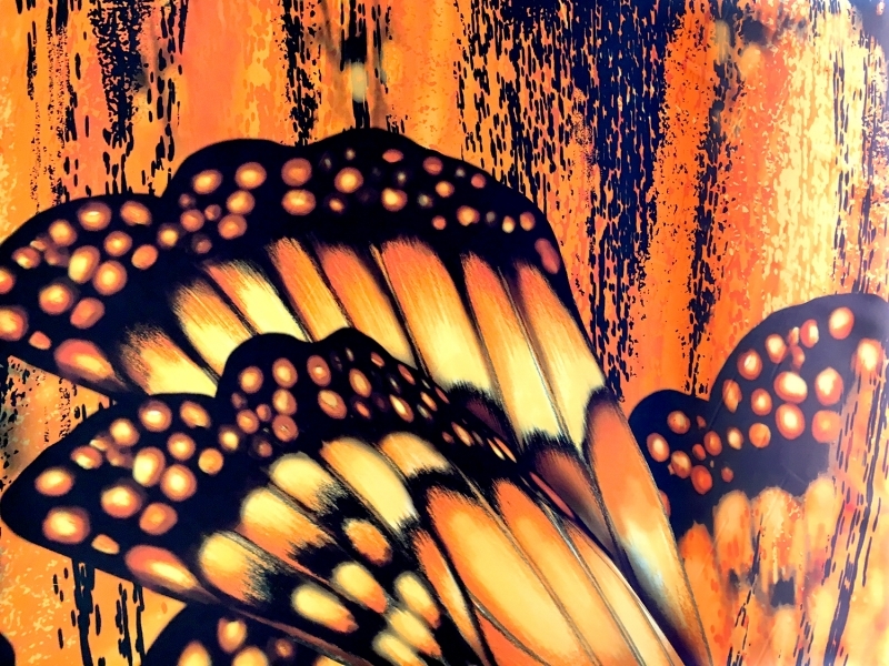 Monarch Butterfly Panel Print On Polyester Chiffon Bandj Fabrics